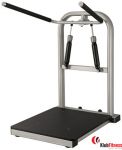 Trening obwodowy STEELFLEX CEO200 mięśnie skośne brzucha