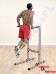 BODY_SOLID_GDIP59_3