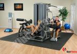 DGYMS_BODYSOLID_ATLAS_2