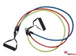 Ekspander gumowy INSPORTLINE CE3320 regulacja na 6 poziomach